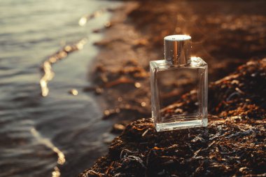 gün batımında deniz parfüm