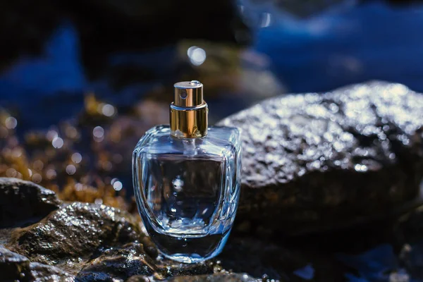 Kayanın Üzerinde Deniz Arka Plan Parfüm — Stok fotoğraf