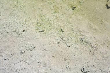 Nehir sıradışı arka plan üzerinde nehir kıyısında su ve alt