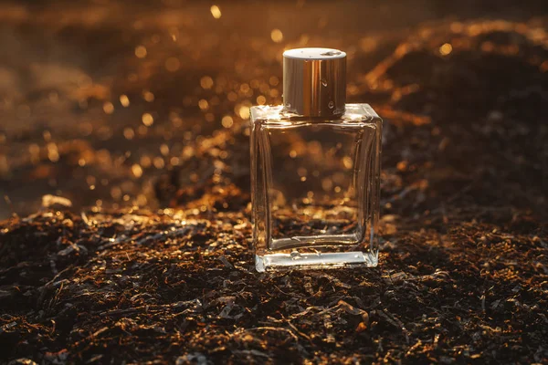 Parfum Sur Fond Sable Doré — Photo