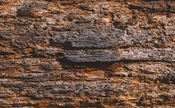 Brun Trästruktur Med Naturliga Mönster — Stockfoto