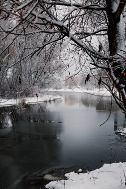 güzel kış manzara sahne ile nehir donmuş ağaçlarda