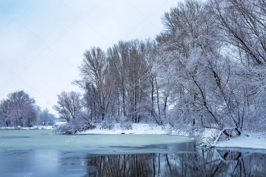 winter landscape near the river