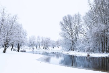 Kış ağaçlar suya yansıyan
