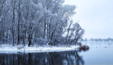Kış orman Nehri üzerinde 