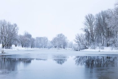 Eski park, doğa karda kış manzara su ağaçları ile kaplı