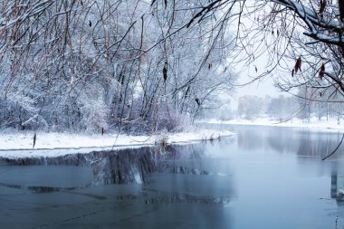 Eski park, doğa karda kış manzara su ağaçları ile kaplı