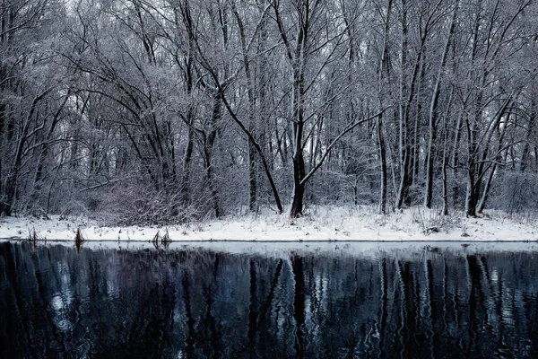 Landschaft Mit Schneebedeckten Bäumen Gefrorener Fluss Mit Spiegelung Wasser — Stockfoto