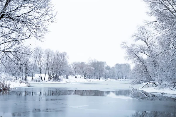 Winter Landscape Trees Lake Park Royalty Free Stock Photos