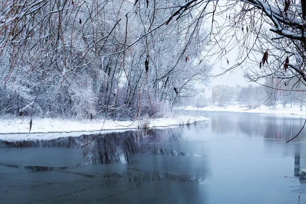 Winter Landscape Water Trees Covered Snow Old Park Nature Royalty Free Stock Photos