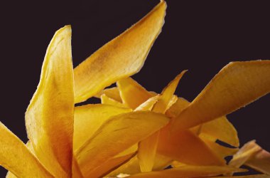 mango dilimleri koyu arka plan üzerinde kurutulmuş 