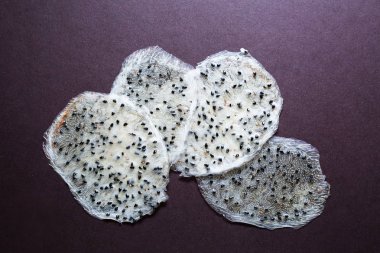 Koyu arka plan üzerine dilimlenmiş pitaya kurutulmuş 