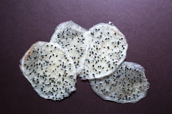 Koyu arka plan üzerine dilimlenmiş pitaya kurutulmuş 