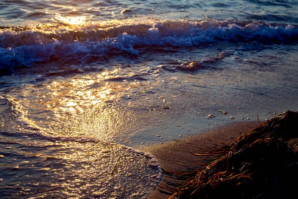 Golden Sea Wave Sunset — Stock Photo, Image