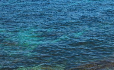 Deniz su doku deseninin