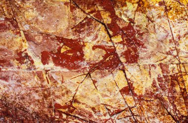 siyah kalıp ile çatlaklar ve sarı yosun ile beyaz deniz taşı. Nat