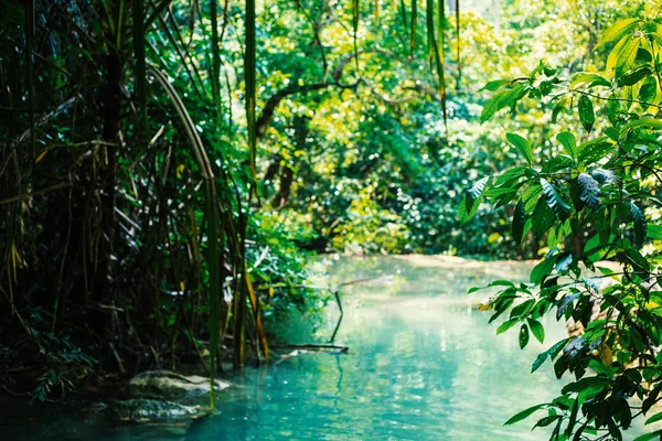 Lac dans la jungle — Photo