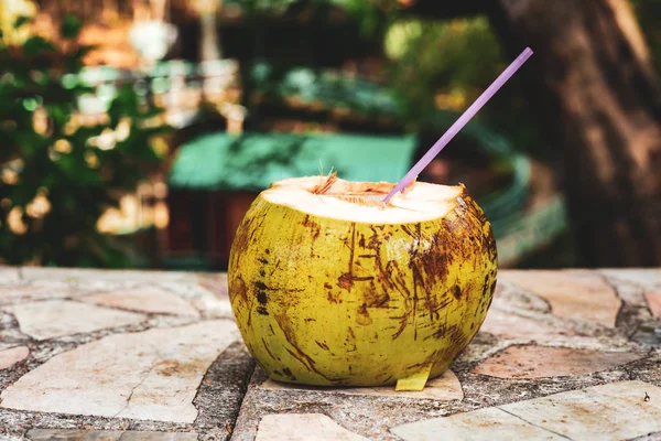 Coconut cocktail — Stock Photo, Image