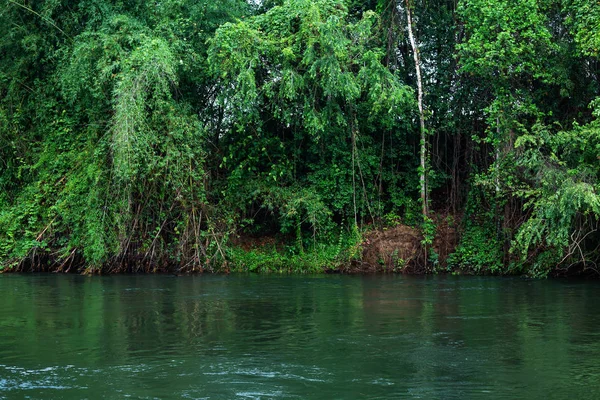 Rivière Jungle — Photo