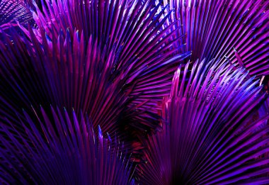 tropikal yaprak doku arka plan