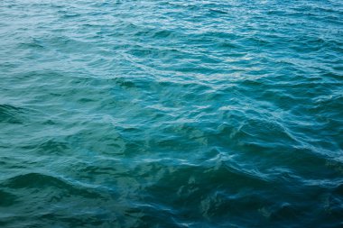 Blue ocean doku