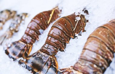 Fresh lobsters on ice for sale at restaurant clipart