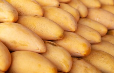 sarı olgun mango çok