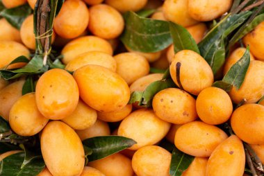 Olgun Turuncu Tatlı Maprang 