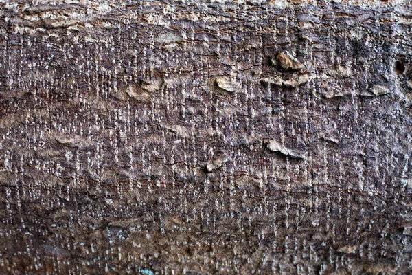 Színes kő textúra részletességgel. Érdekes természetes mintázat. — Stock Fotó