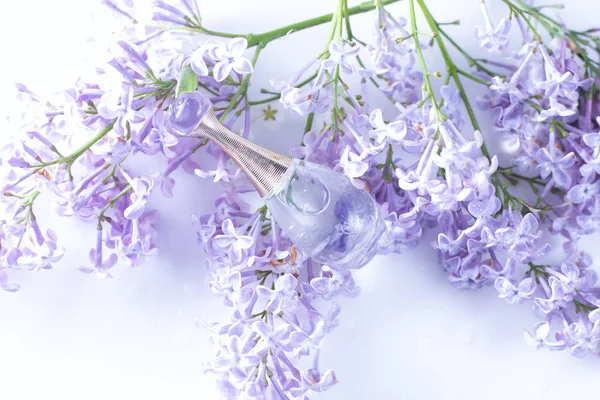 Parfum ANF bloemen — Stockfoto