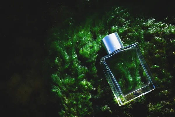 Parfum ligt op NAT mos — Stockfoto