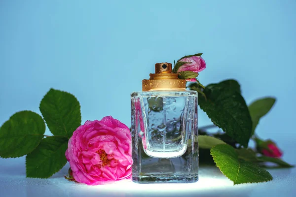 Perfume feminino com rosas — Fotografia de Stock