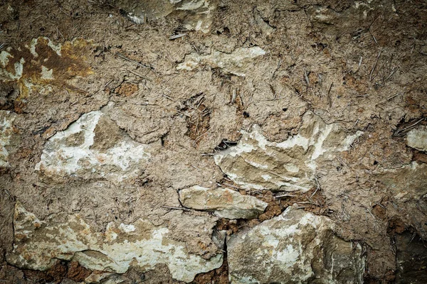 Gamla lera vägg — Stockfoto