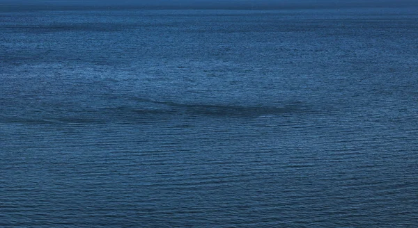 Спокойная текстура голубой морской воды — стоковое фото