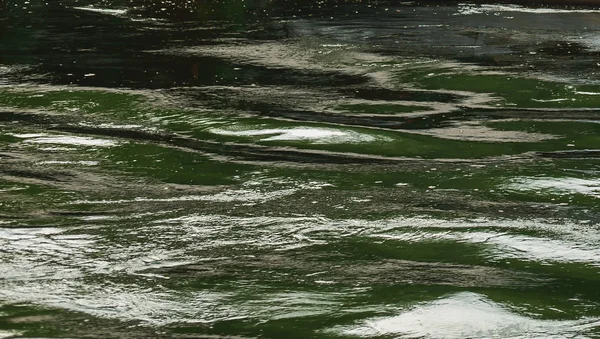 Texture d'eau verte — Photo