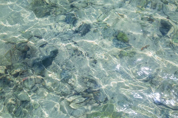 Água do mar límpida — Fotografia de Stock