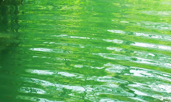 Texture de l'eau de rivière verte — Photo