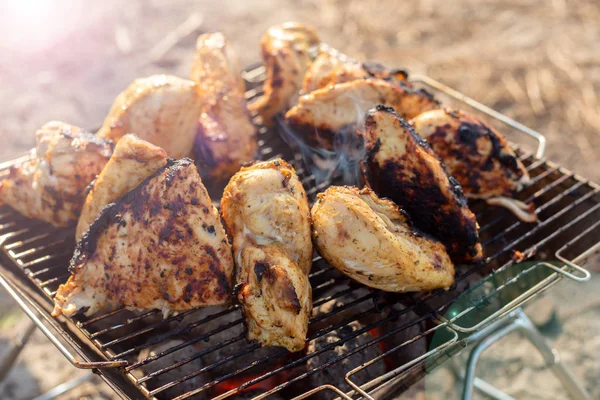 Piknikte ızgara tavuk filetosu — Stok fotoğraf