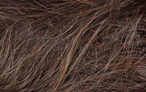 Текстура сухих волосся — стокове фото