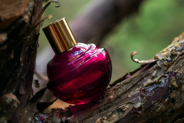 Perfume no fundo da natureza — Fotografia de Stock