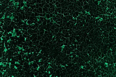Yeşil soyutlama doku