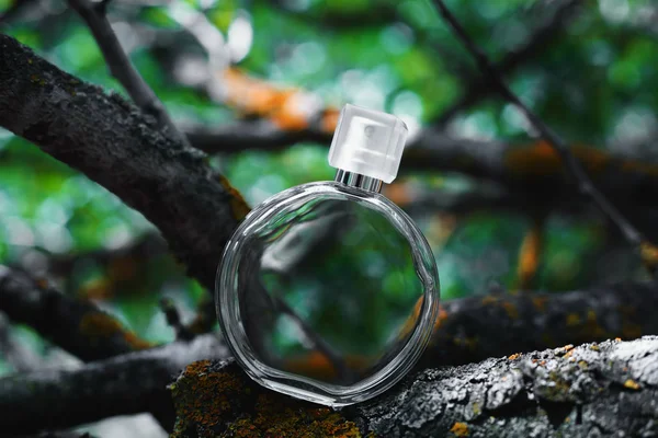 Perfume femenino sobre fondo verde naturaleza — Foto de Stock