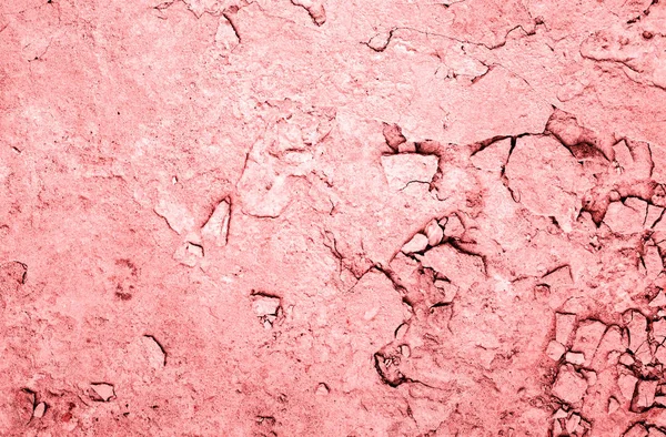 Textura rosa vieja —  Fotos de Stock