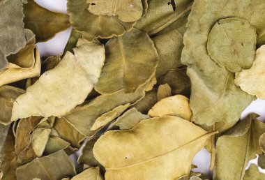 kuru kaffir kireç yaprakları