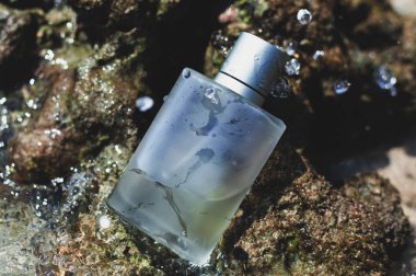 taş arka plan ıslak parfüm 