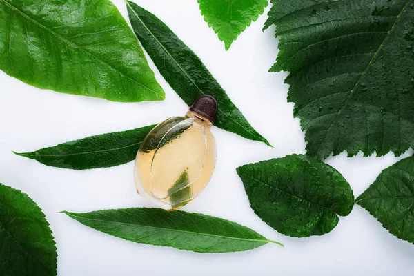 Perfume Green Leaves White Background — Stock Photo, Image