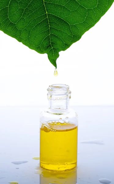 Herbal Essence Alternative Healthy Medicine Skin Care Essential Oil Water — Stock Photo, Image