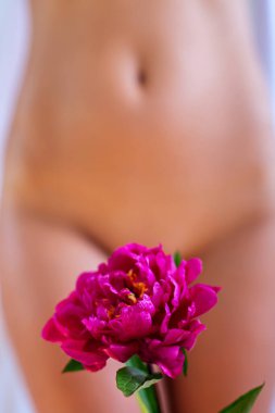 Pembe şakayıklı güzel bir kadın. Bikini bölgesi çiçek gibi. Çıplak vücut güzel sanatlar. Mükemmel vücut yapısı.. 