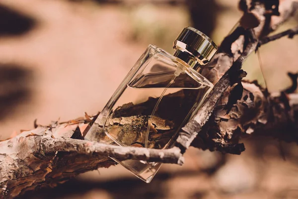 Parfümflasche Auf Holzgrund — Stockfoto