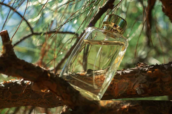 Yeşil Arka Planda Ahşap Parfüm — Stok fotoğraf